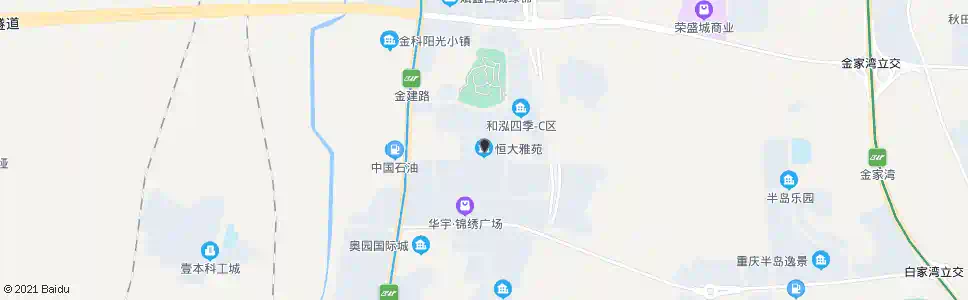 重庆恒大雅苑_公交站地图_重庆公交_妙搜公交查询2024